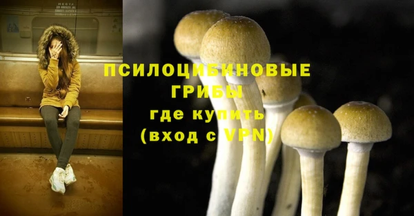 винт Алексин