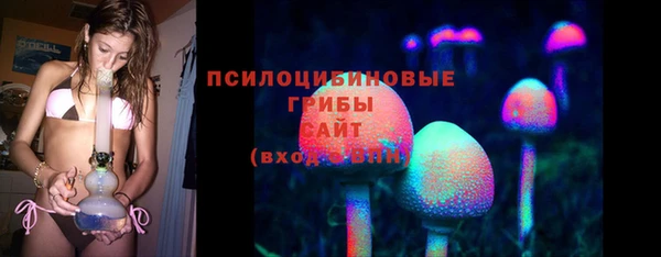 трава Бежецк