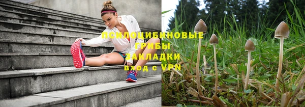 винт Алексин